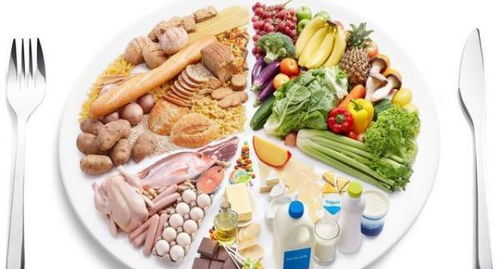 孕期饮食 科学忌口有讲究，均衡营养助成长